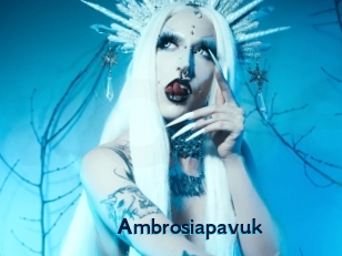 Ambrosiapavuk