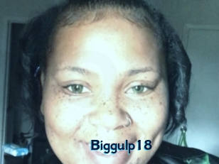 Biggulp18