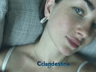 Cclandestina