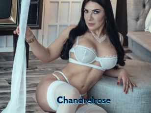 Chandrelrose