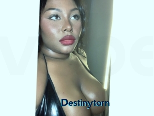 Destinytorn