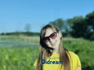 Didream