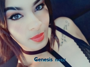 Genesis_new