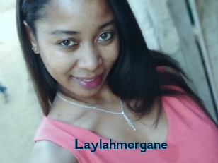 Laylahmorgane