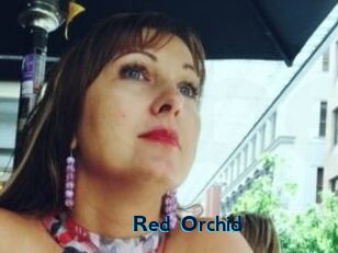 Red_Orchid