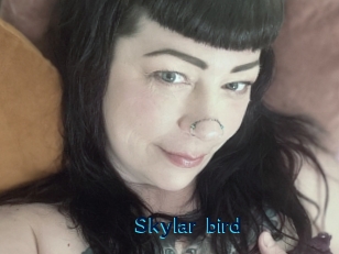 Skylar_bird