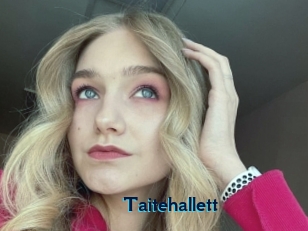 Taitehallett