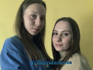 Willaandantonia