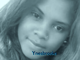 Ynesbrooks