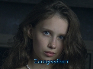 Zaragoodhart